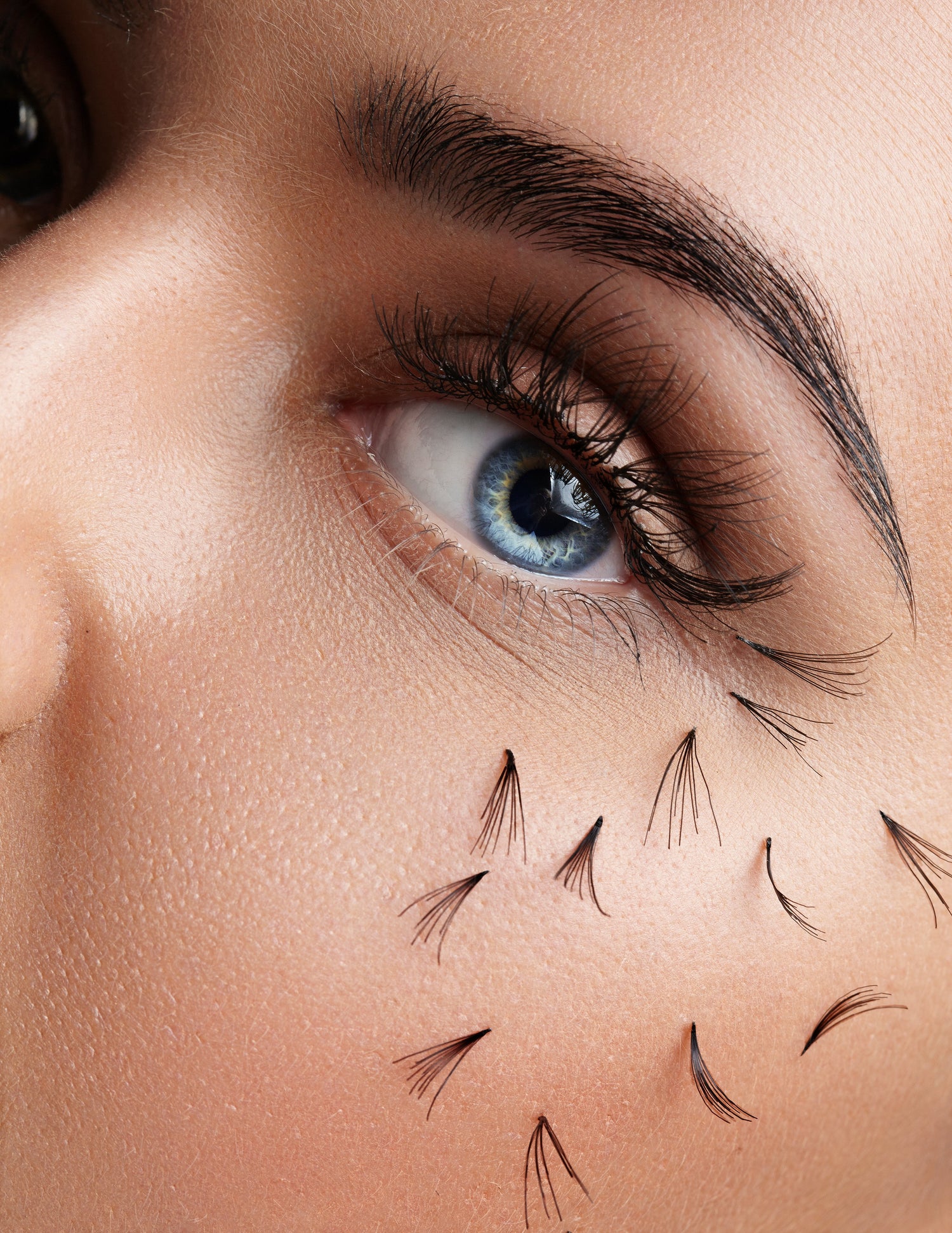 Lash Rehab Guide: How to Restore Damaged Lashes After Extensions